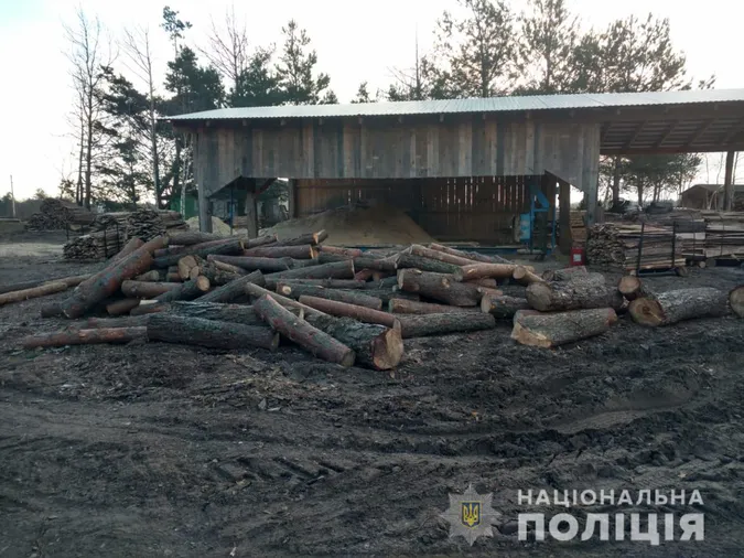 У селі на Волині поліція обшукує двори: шукають незаконну деревину (фото)