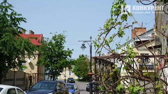 Літо на порозі: вулиця Братковського вабить тишею і квітами (фото)