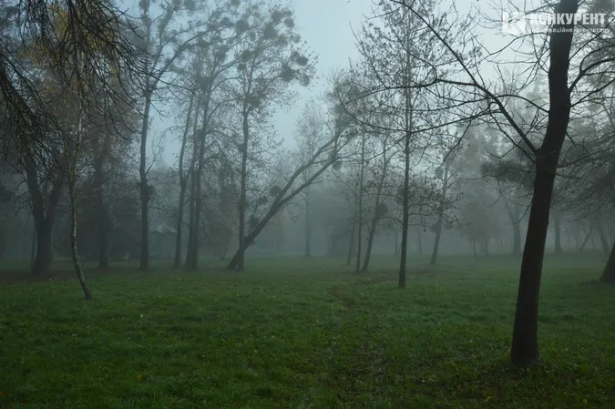 Центральний парк Луцька у ранковому тумані (фото)