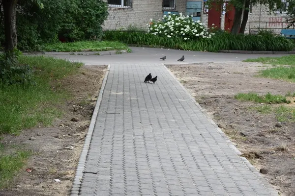 У Луцьку облаштовують нові пішохідні доріжки (фото)