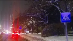У Луцьку BMW збила пішохода на переході (фото)