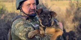 Наймолодший у строю: пес Шустрий живе поруч із волинськими прикордонниками (фото)
