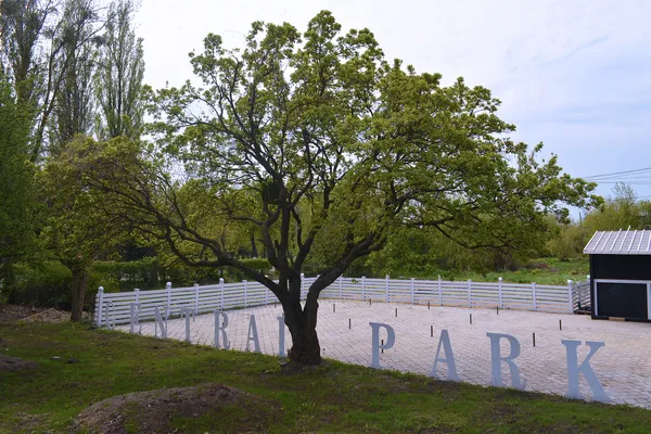 У центрі Луцька відкривають нове кафе (фото)