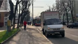 У центрі  Луцька сталася ДТП за участі вантажівки і тролейбуса (фото)