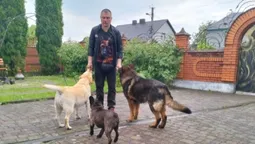 Колишній військовослужбовець з Волині реабілітує ветеранів з допомогою собак (відео)