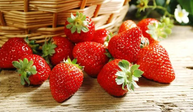 Смачний бізнес: як біля Луцька вирощують полуницю