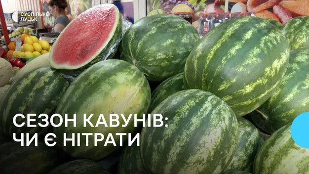 На луцьких ринках перевіряють кавуни: чи є в них нітрати (відео)