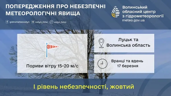 Пориви вітру до 15-20 м/с: волинян попереджають про негоду