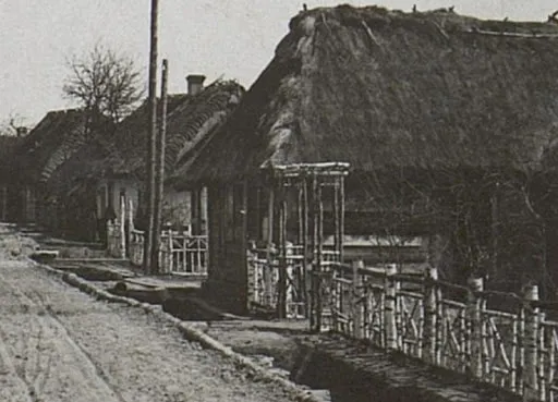 Як виглядали сільські будинки на Волині 100 років тому (ретрофото)