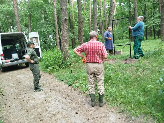 Де неподалік Луцька можна погуляти незайманим столітнім лісом (фото)