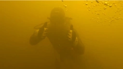 Що підіймають водолази з дна Стиру та хто там живе (відео)