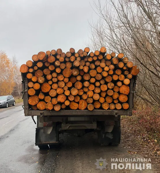 На Волині затримали повну вантажівку кругляка (фото)