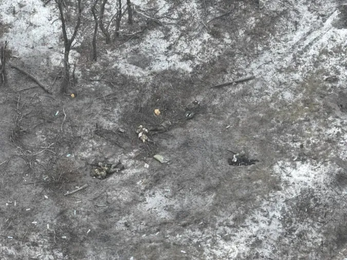 Близько 119 300 окупантів, 3139 танків і 2129 артсистеми: втрати ворога на 20 січня