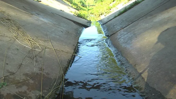 У Луцьку русло річки Жидувки очищають від сміття та гілок (фото)