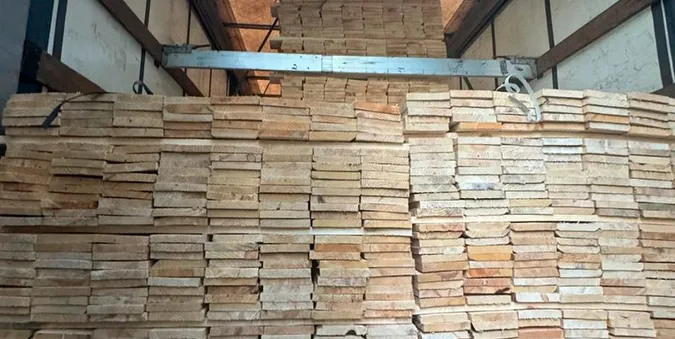 Волинський підприємець незаконно вивозив деревину до ЄС