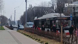 У центрі Луцька раптово зупиняються «рогаті»: що коїться (фото)