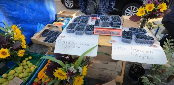 Дорожчають яйця та картопля: які ціни на луцькому ринку біля «Торби» (відео)