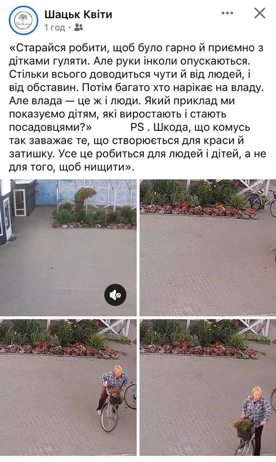 У Шацьку жінка безсоромно обчистила клумбу біля квіткового магазину (відео)