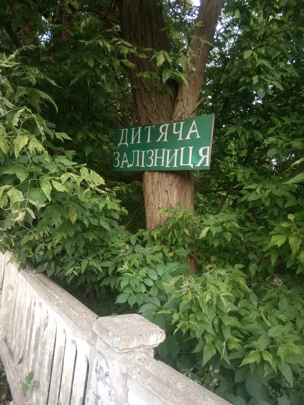 У Луцьку дитяча залізниця заростає кропивою (фото)