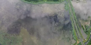 Зубри, дикі орхідеї та Чортове болото: де на Волині дивовижне співіснує з таємничим (фото)