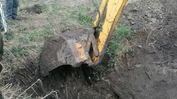 На Волині під час розкопок знайшли поховання часів Другої світової війни (фото, відео)