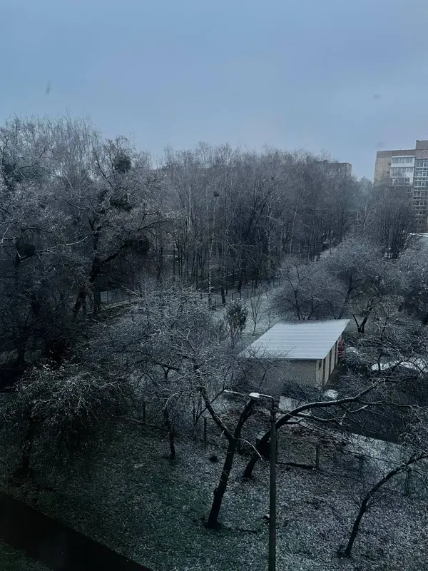 Зимова казка: у мережі показали засніжені пейзажі Волині (фото, відео)