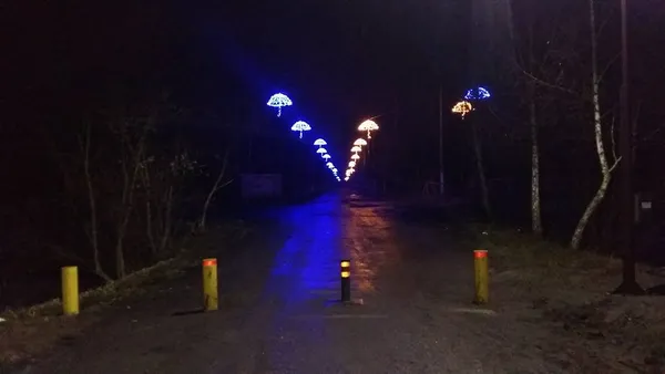 Луцьким парком блукав автомобіль і не міг знайти виїзд (фото)