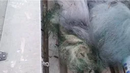 Забрали сітки і звільнили рибу: на Волині рибпатруль завадив браконьєрам (фото)