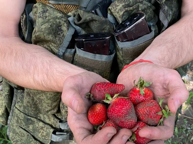 Російські окупанти наймаються до українців на збір полуниці (відео)
