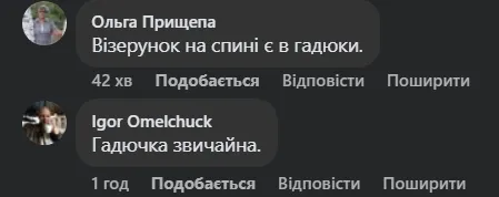 У лісі на Волині жінка зустріла гадюку (відео)