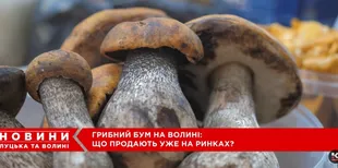 На ринку в Луцьку – грибний ажіотаж: які продають гриби і скільки коштує кілограм (відео)