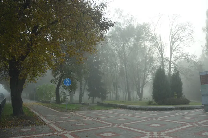 Центральний парк Луцька у ранковому тумані (фото)