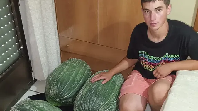 В Іспанії підліток зміг виростити диню-мутанта, що важить як восьмирічна дитина