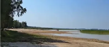 Світязь міліє на очах: на Гряді вода відійшла на десятки метрів (відео)