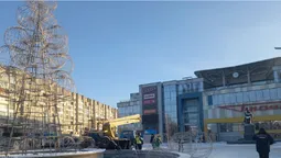 Біля «Променя» в Луцьку розбирають ялинку (фото)