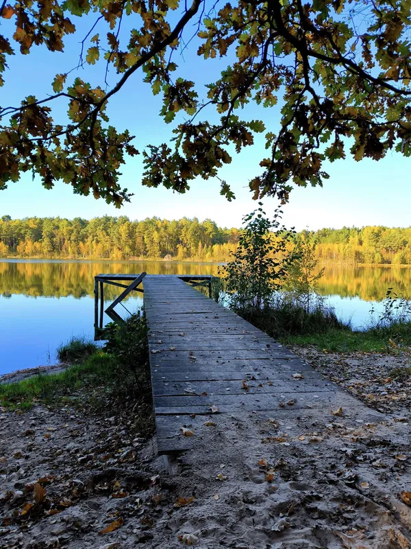 Особливо гарне восени: в лісі на Турійщині причаїлось глибоке озеро (фото)