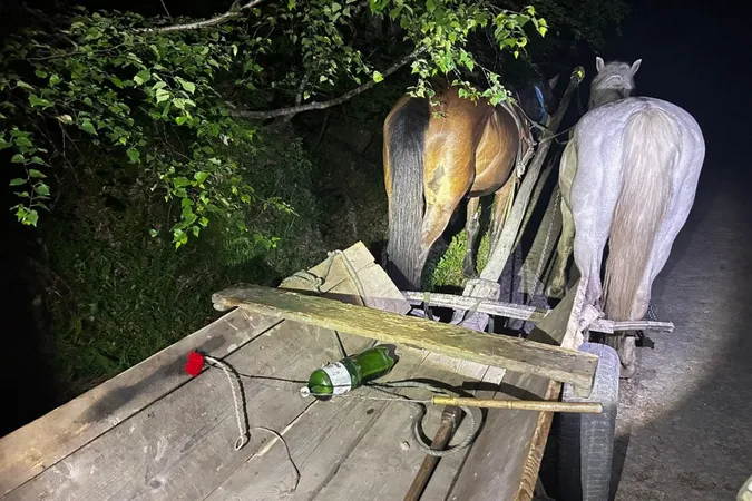 Волиняни за 10 тис. «зелених» хотіли втекти з країни на конях, а в них стріляли (фото)