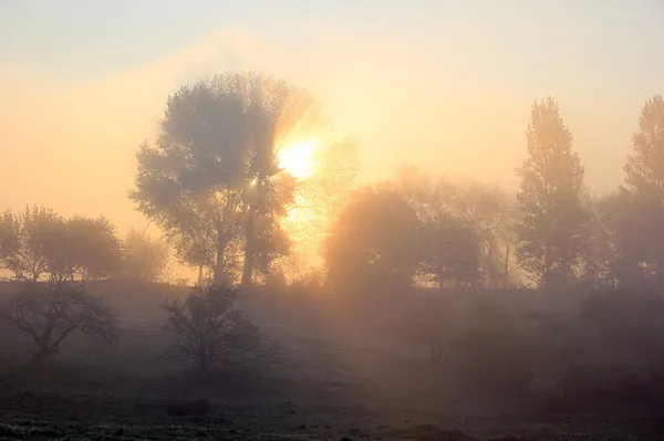 Хрінницьке водосховище після травневих дощів (фото)
