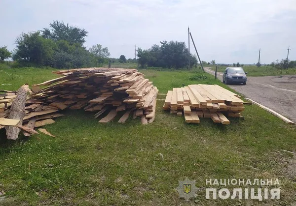 На пилорамі у Ковельському районі знайшли майже 50 колод сосни без документів (фото)