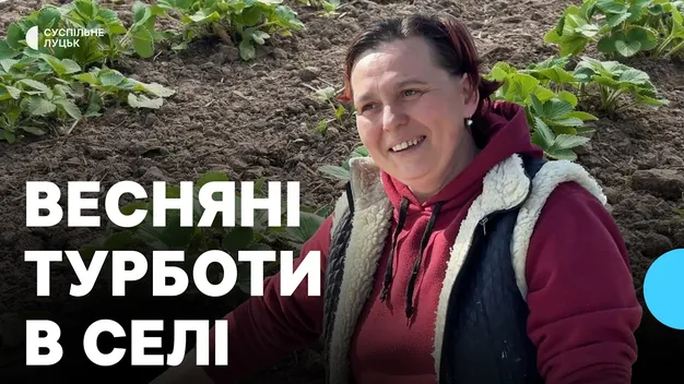 Весняні клопоти в селі: як на Волині садять картоплю і вирощують полуницю (відео)