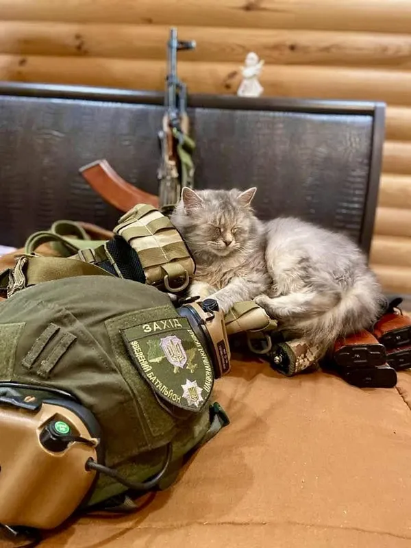Показали чотирилапих «бійців», які живуть з волинськими поліцейськими на фронті (фото)