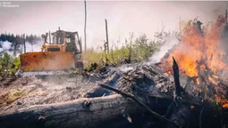 У Чорнобильській зоні – масштабна пожежа (фото, відео)