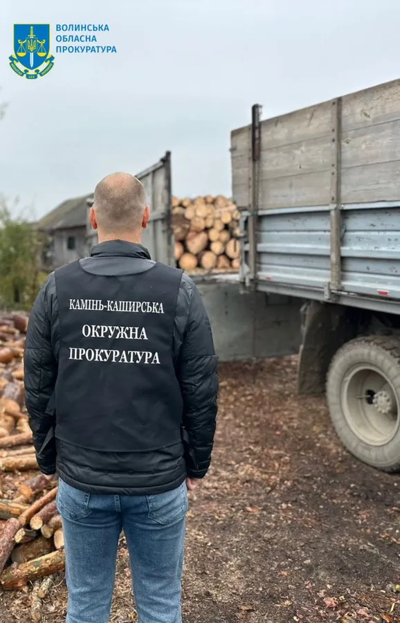 Нарубали дерев на мільйони: на Волині судитимуть лісівника і його спільників (фото)