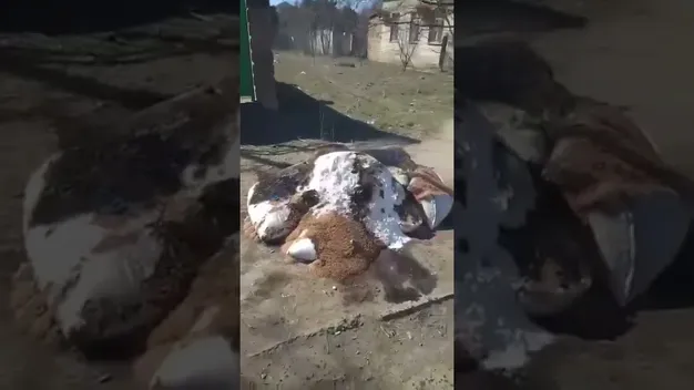 У Чорнобаївці українці спалили гуманітарку від окупантів (відео)