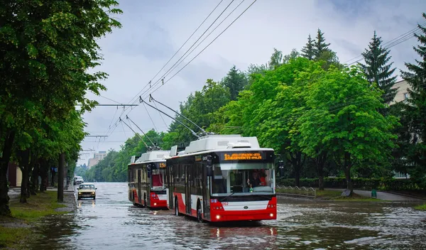 9 червня 2024 року