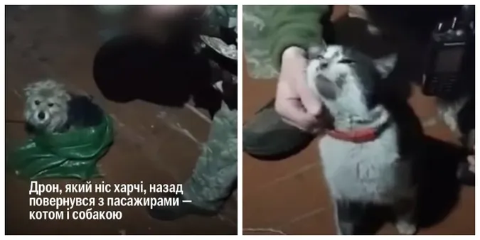 Кіт і собака пролетіли 12 км дроном: волинські бійці евакуювали хвостатих з позиції (відео)