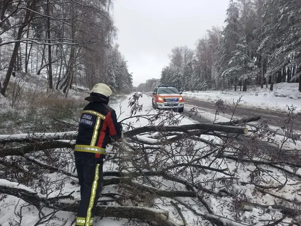 Негода на Волині: рятувальники розчищували дороги від повалених дерев (фото)