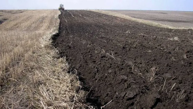 На Волині гектар землі став яблуком розбрату (відео)