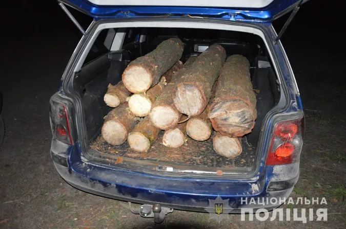 На Волині зловили молодиків, які «напакували» свої легковики сосновими колодами (фото, відео)