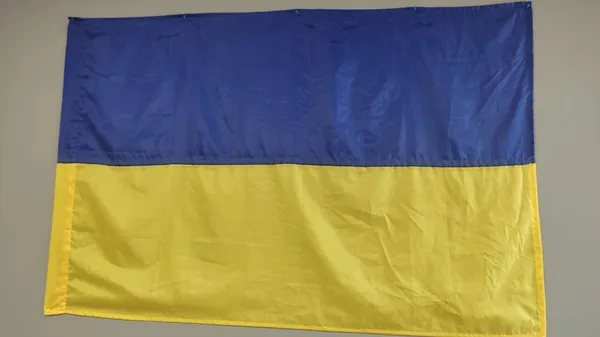 Луцькі волонтери зібрали пів сотні прапорів із подяками від бійців (відео)
